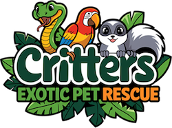 Footer Logo